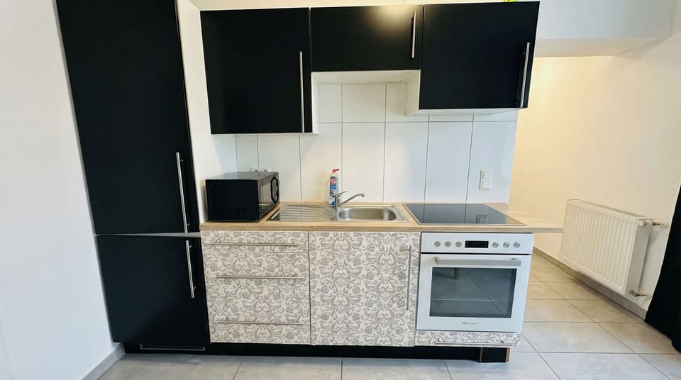 Basic Apartment | Private kitchen | Fridge, oven, stovetop, cookware/dishes/utensils
