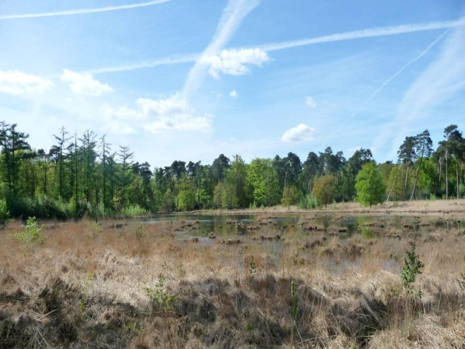 House | View from property