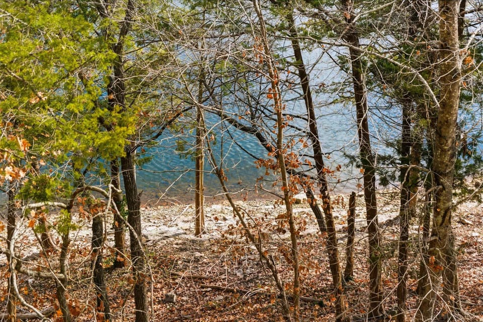 Condo, Multiple Beds, Balcony, Mountain View (The Ozark Getaway) | View from room