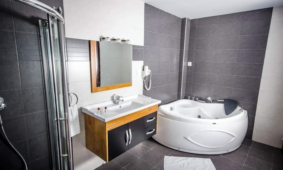 Shower, free toiletries, hair dryer, towels