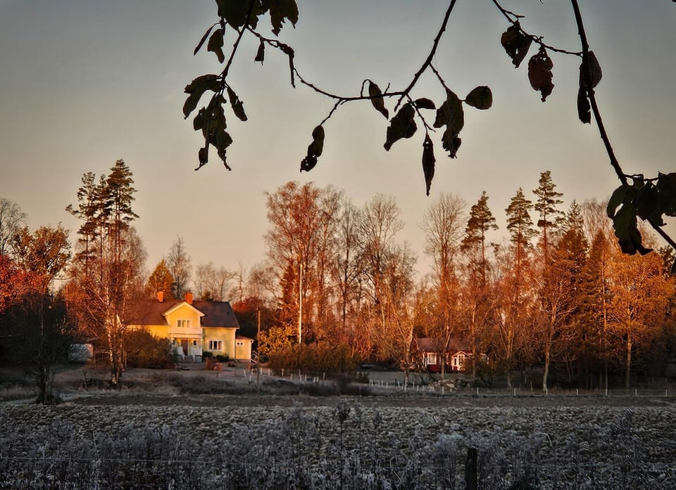 House | View from property