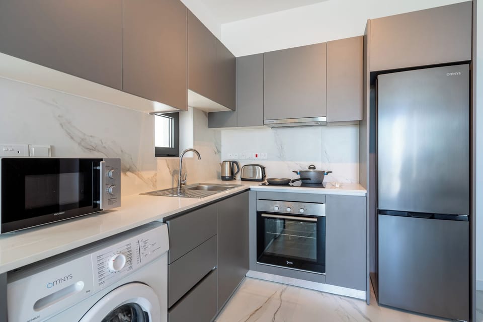 Apartment, 1 Double Bed with Sofa bed, Kitchen, City View | Private kitchen | Full-size fridge, microwave, oven, stovetop