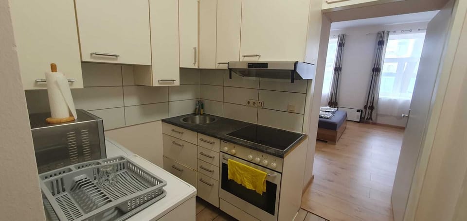 Basic Apartment | Private kitchen | Fridge, microwave, oven, stovetop