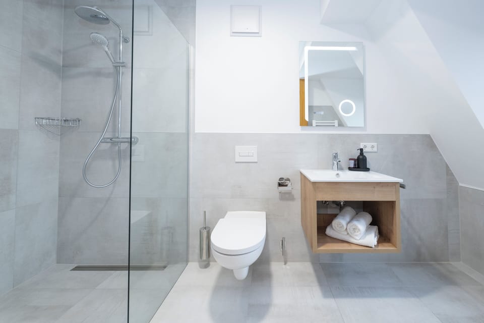 Deluxe Double Room | Bathroom | Shower, hair dryer, towels