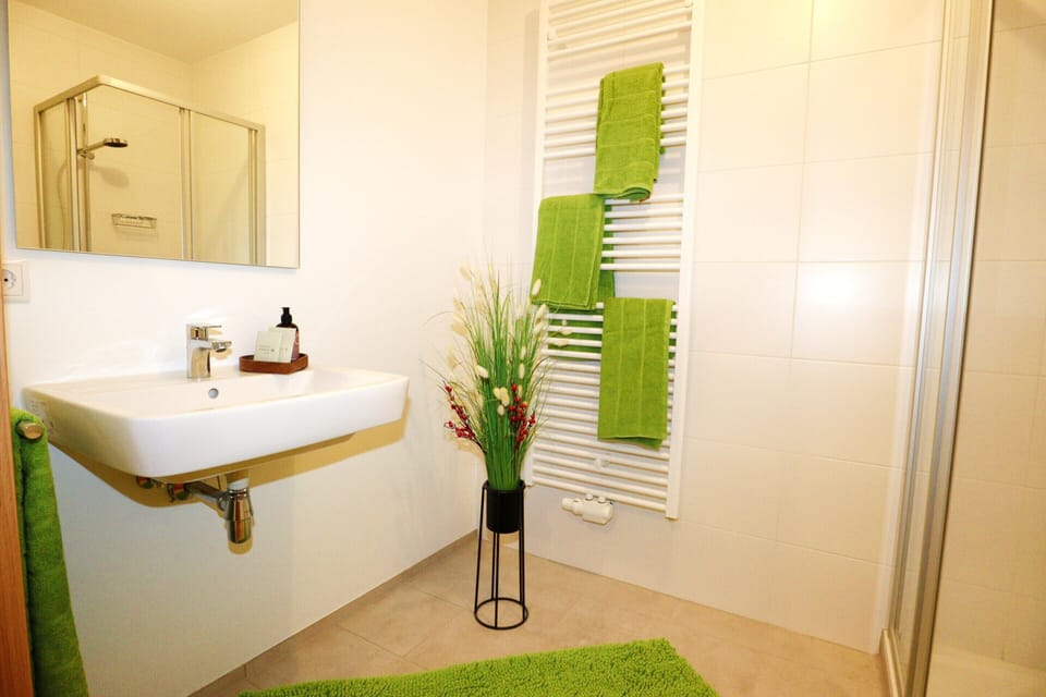 Apartment | Bathroom | Towels