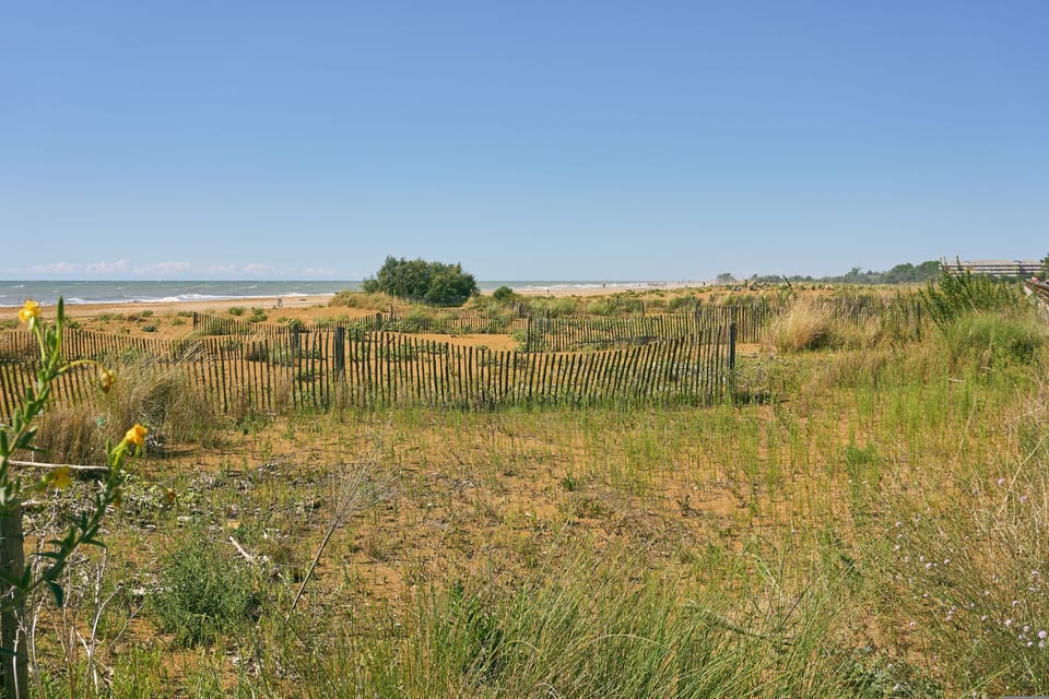 Studio, Balcony | Exterior