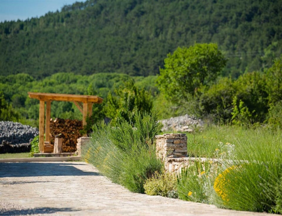 Villa | Garden