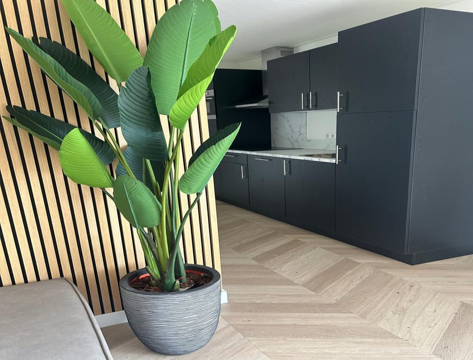 House | Private kitchen