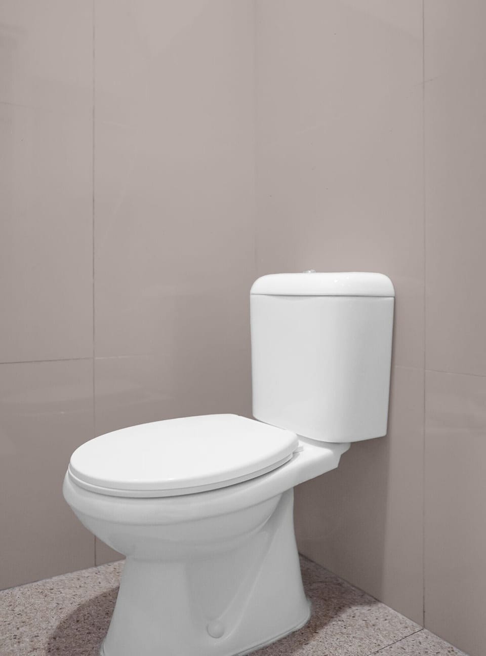 Shower, bidet, towels