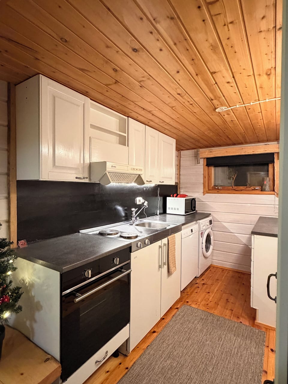 Superior Apartment, River View | Private kitchen | Fridge, microwave, oven, stovetop
