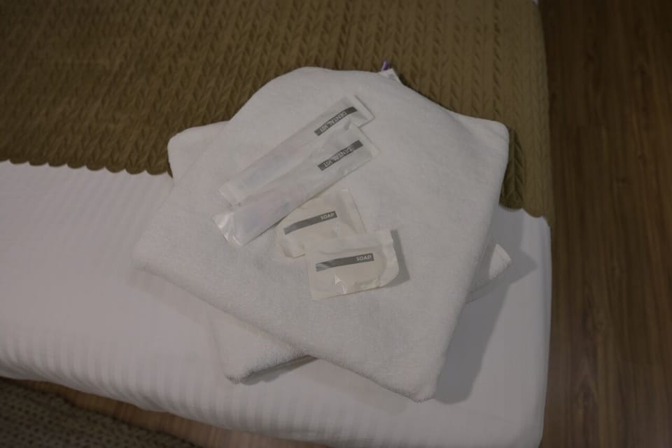 Standard Double Room, Non Smoking, City View | Bathroom amenities | Free toiletries, hair dryer, towels