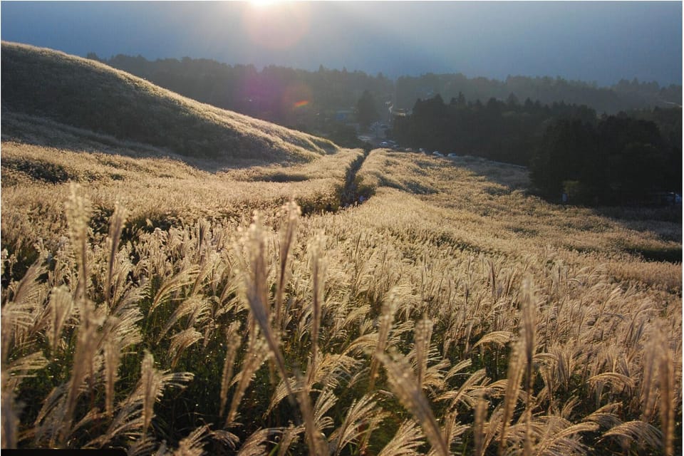 Land view from property