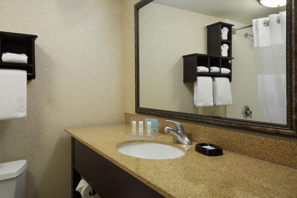 Combined shower/tub, free toiletries, hair dryer, towels