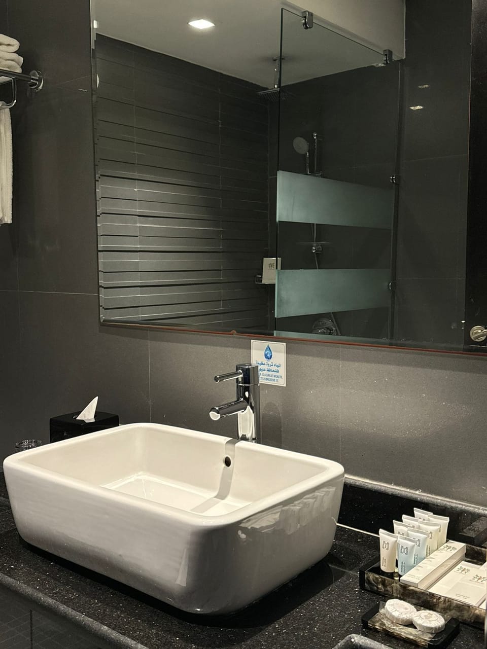 Hair dryer, bidet, towels, shampoo
