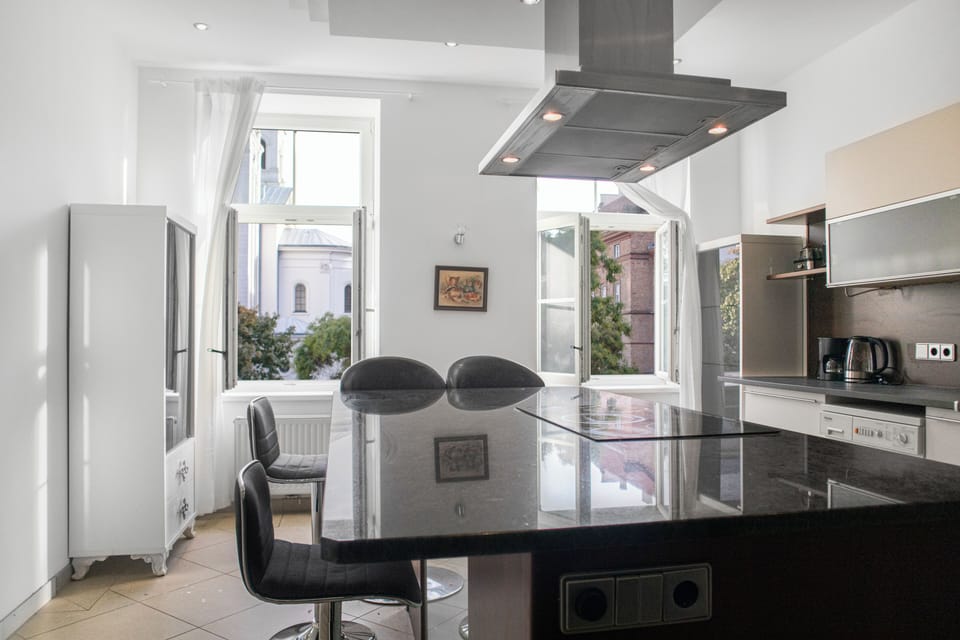 Basic Apartment | Private kitchen | Fridge, microwave, oven, stovetop