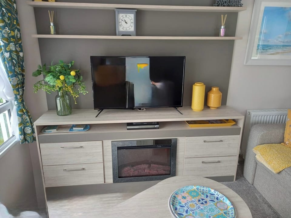 TV, fireplace