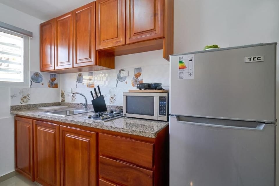 Basic Apartment, 1 Queen Bed, Kitchen, City View | Private kitchen | Microwave, oven, stovetop, cookware/dishes/utensils