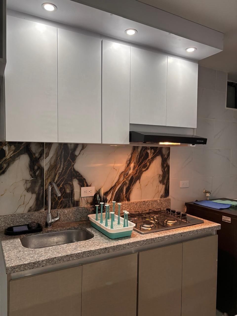 Apartment, 3 Bedrooms, Balcony, City View | Private kitchen | Dishwasher, blender, griddle, cookware/dishes/utensils