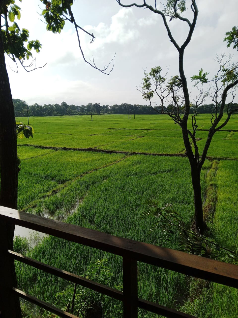 View from property