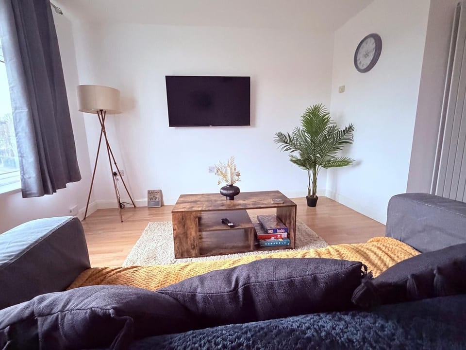 Flat-screen TV