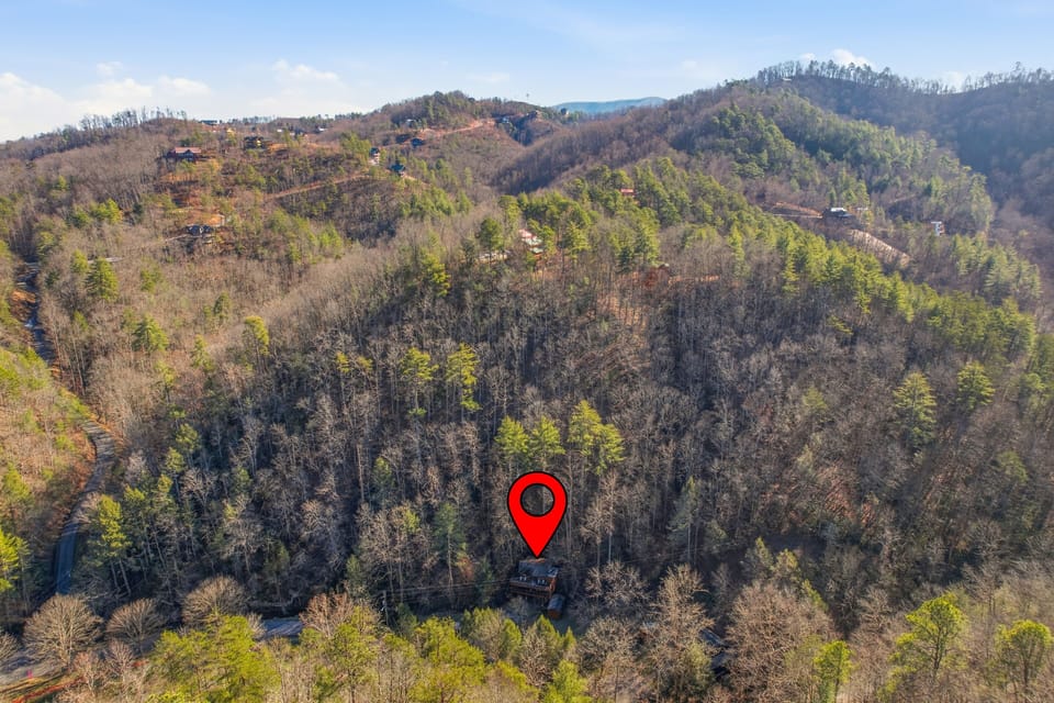 Cabin, 3 Bedrooms | Aerial view
