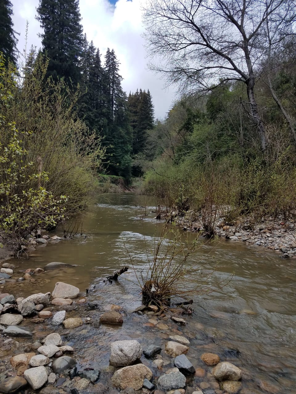Private beach, kayaking, fishing