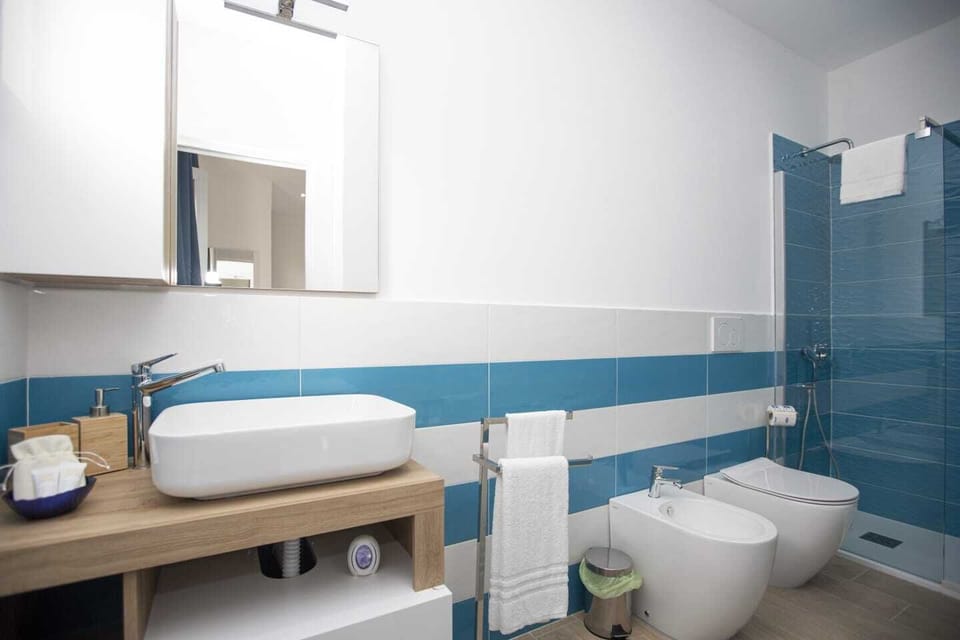 Deluxe Double Room | Bathroom | Shower, hair dryer, towels, soap