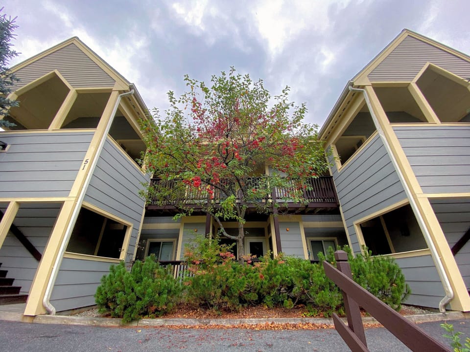 Apartment (3 Bedrooms) | Front of property