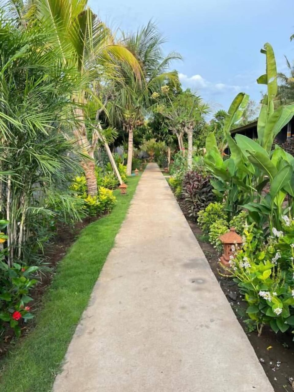 Garden view