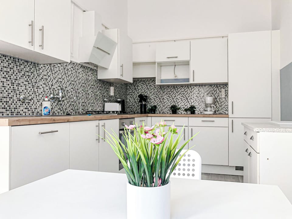Basic Apartment | Private kitchen | Mini-fridge, oven, stovetop, cookware/dishes/utensils
