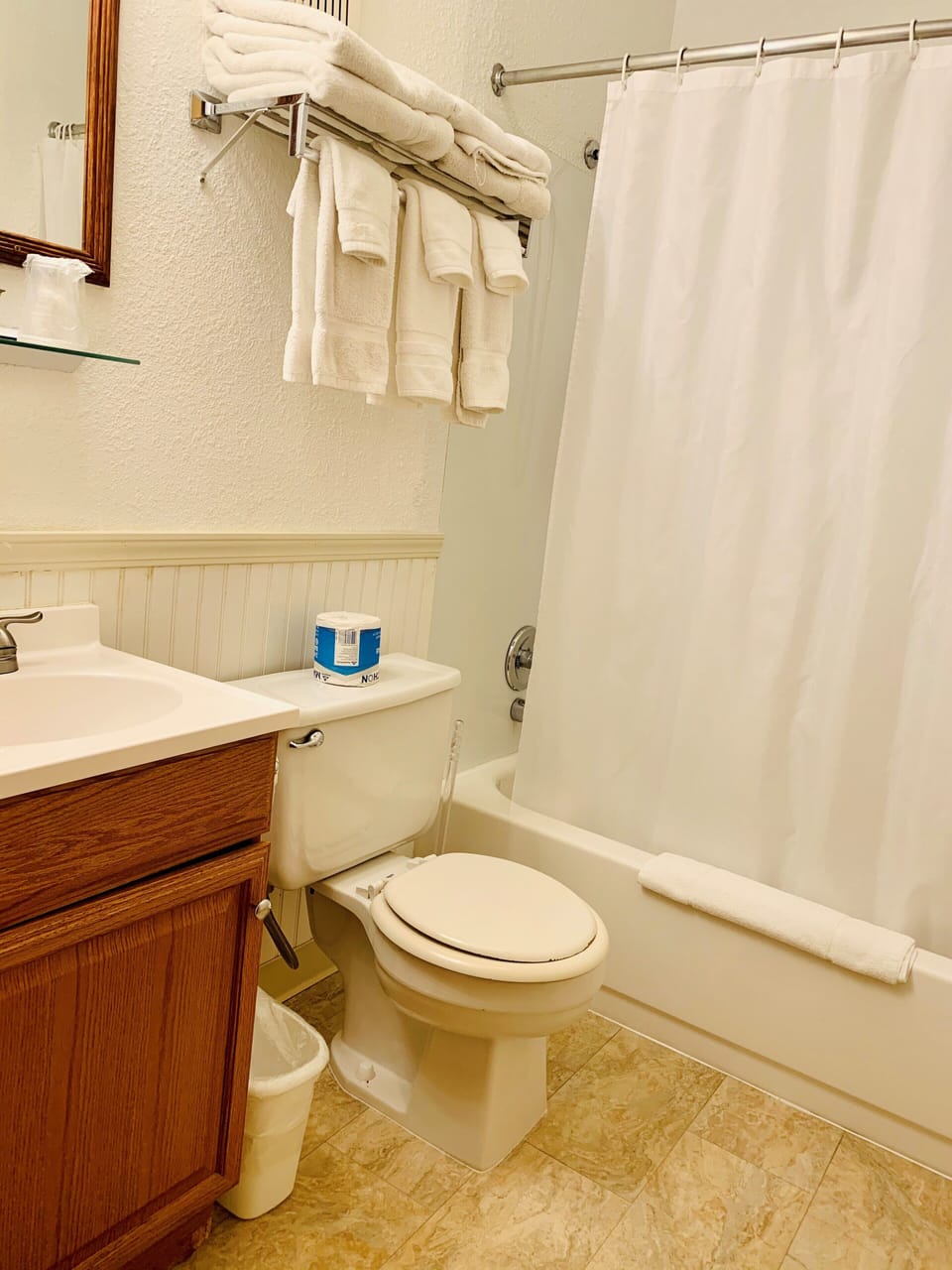 Combined shower/tub, hair dryer
