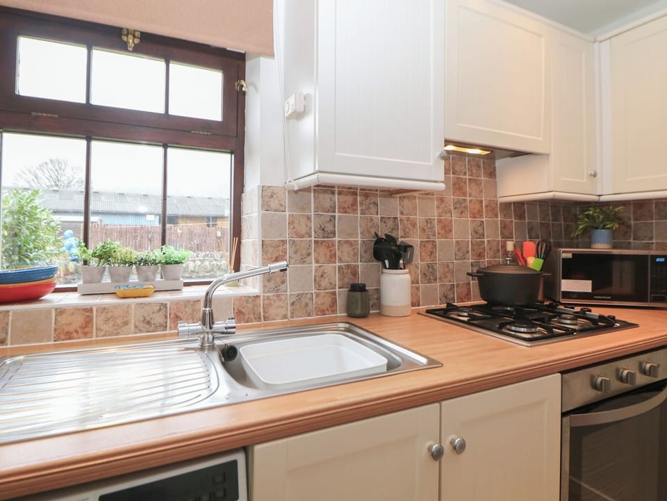 Fridge, microwave, toaster, cookware/dishes/utensils