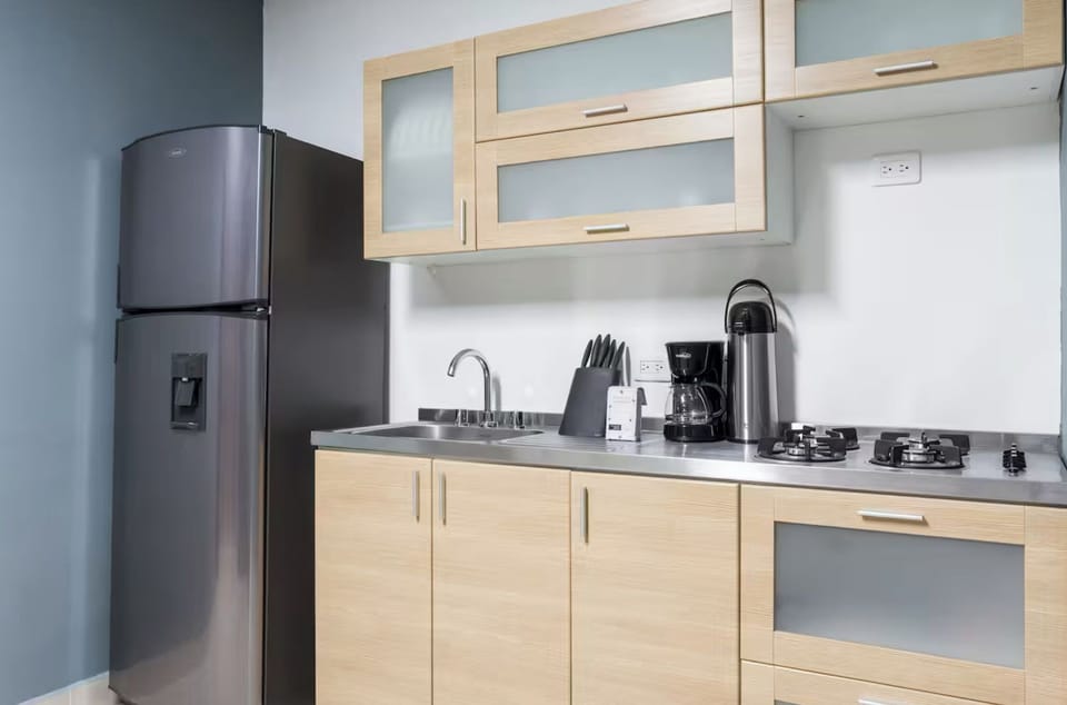 Apartment | Private kitchen | Coffee/tea maker, fridge, cleaning supplies