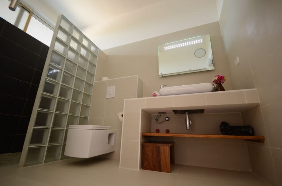 Suite | Bathroom | Shower, free toiletries, hair dryer, bathrobes