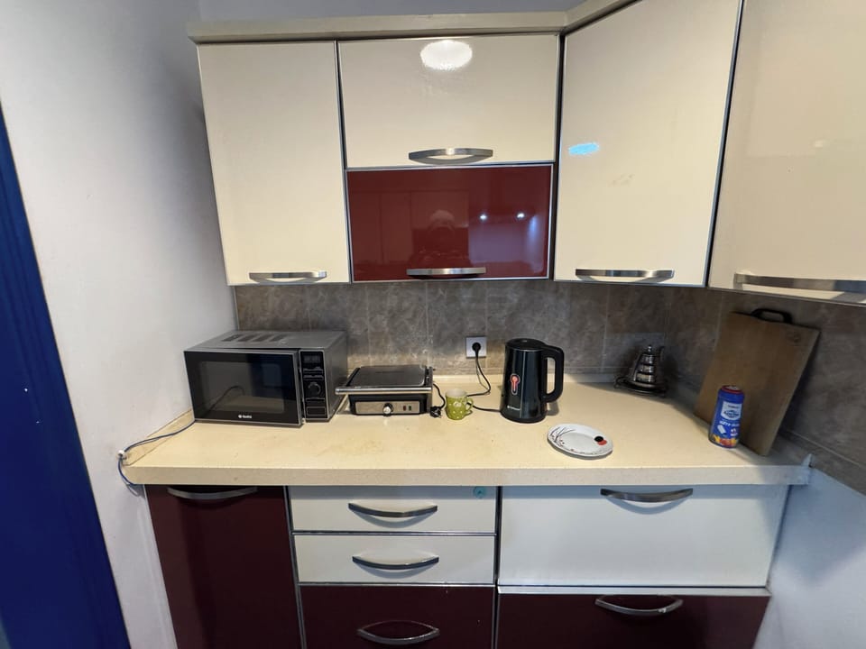 Fridge, microwave, oven, cookware/dishes/utensils