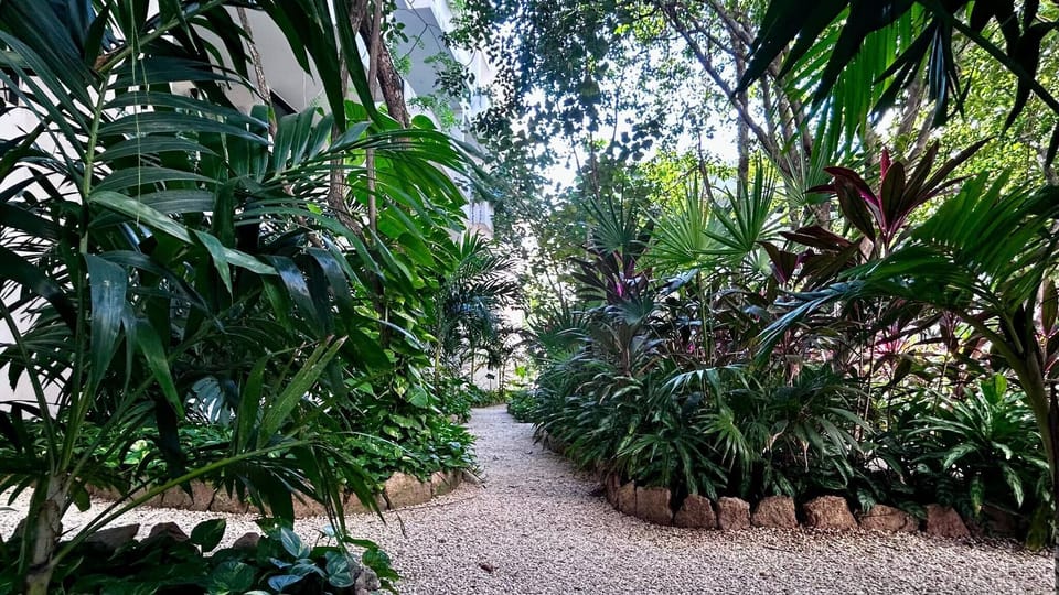 Apartment, 2 Bedrooms | Property grounds