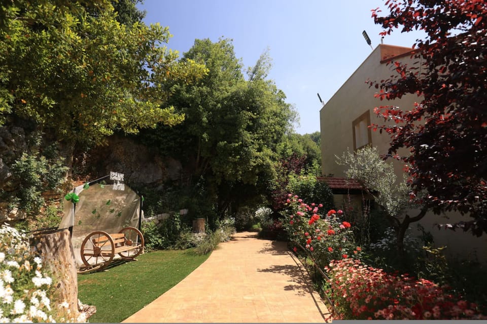 House | 11 bedrooms