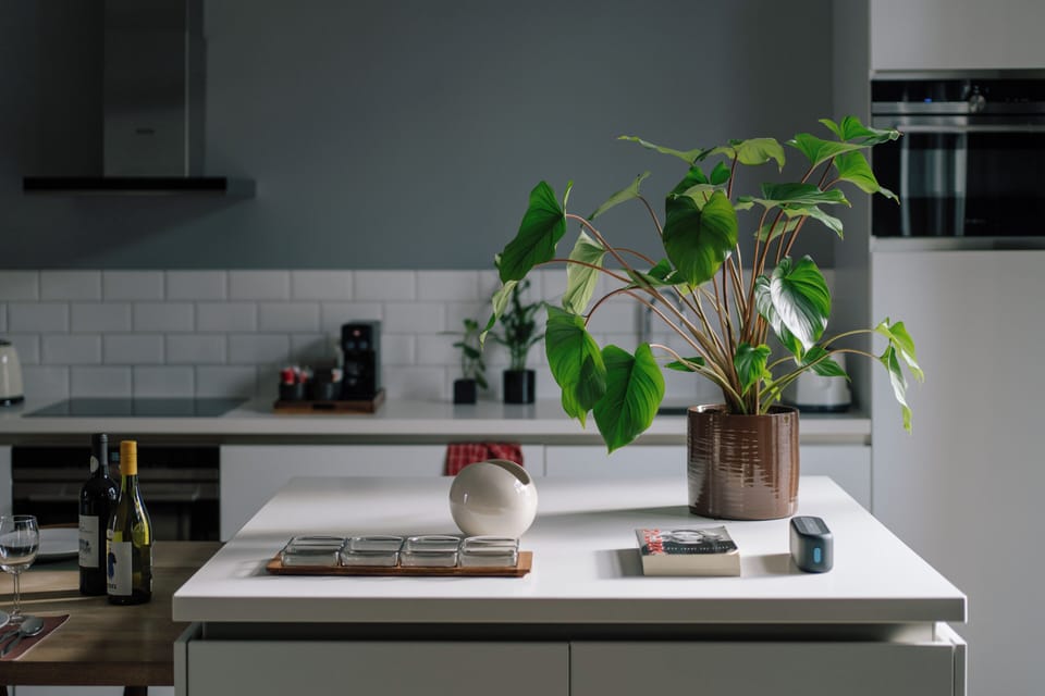 Superior Apartment | Private kitchen | Fridge, microwave, oven, stovetop