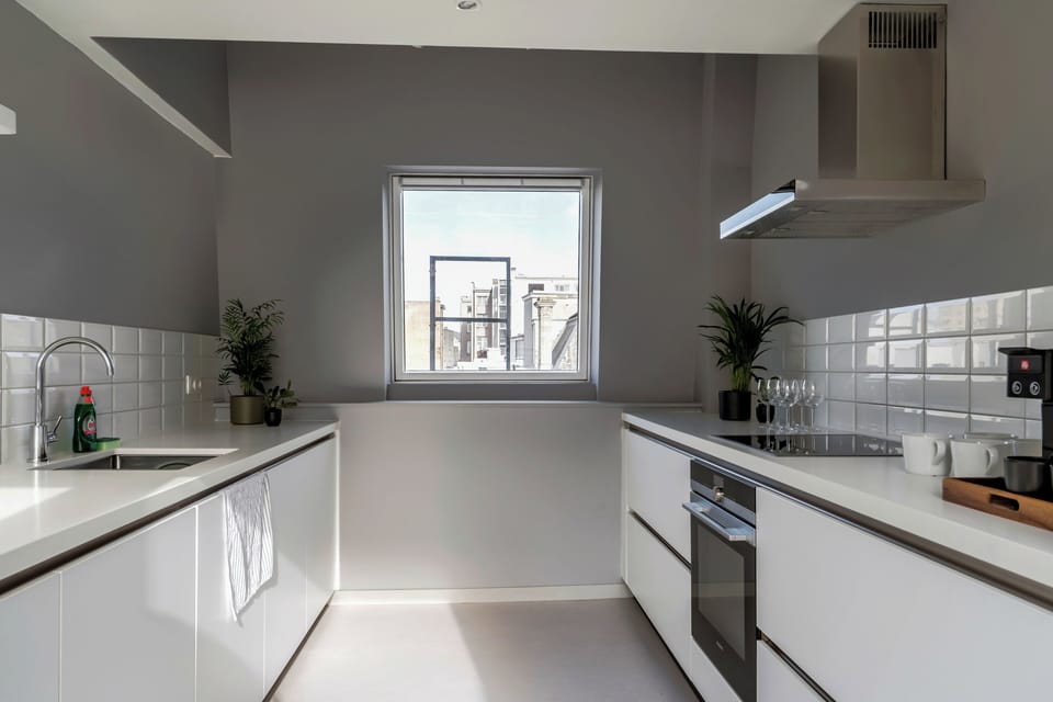 Deluxe Apartment | Private kitchen | Fridge, microwave, oven, stovetop