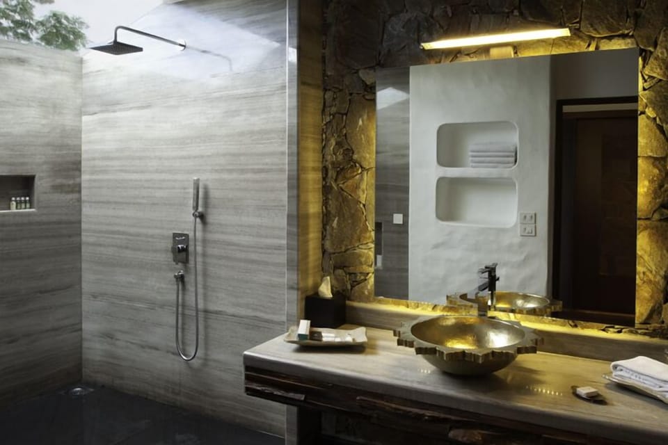 Shower, free toiletries, hair dryer, bathrobes