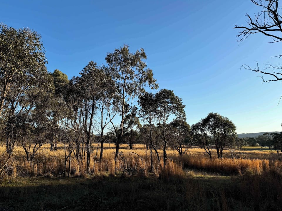 Tiny Home on Granite belt by Tiny Away | View from room