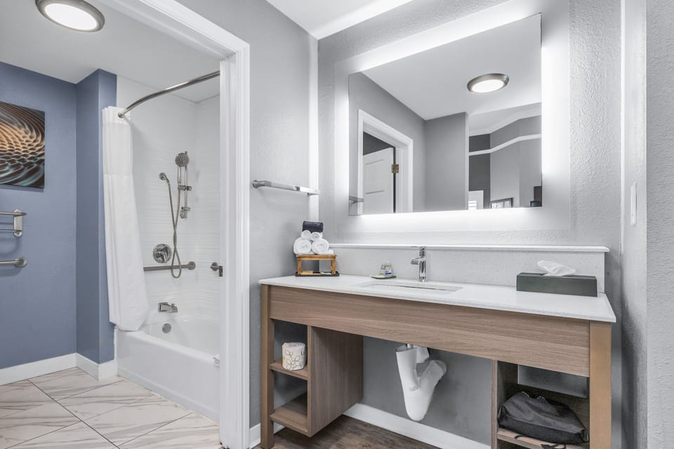 Standard Single Room, 1 Queen Bed, Accessible, Non Smoking | Bathroom | Free toiletries, hair dryer, towels