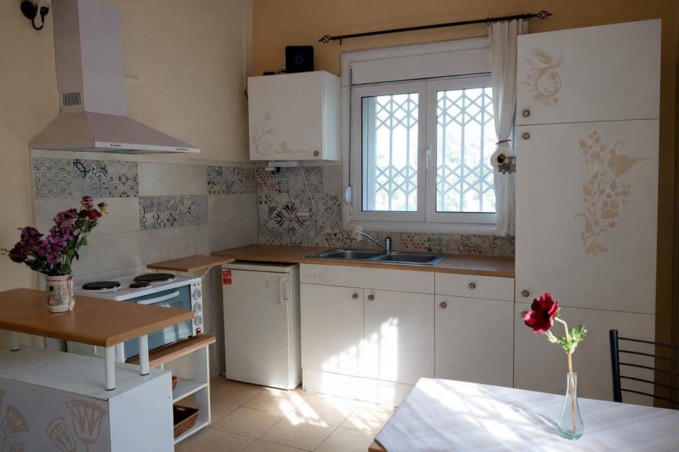 House | 1 bedroom, Internet