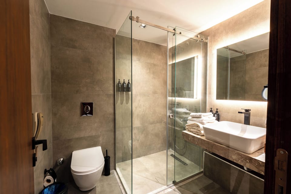 Classic Double Room, Balcony, Mountain View | Bathroom | Shower, hair dryer, slippers, towels