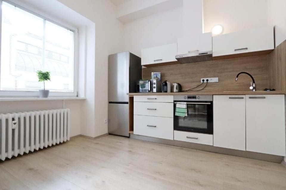 MODERNA IV CityCenterApartments | Private kitchen | Fridge, microwave, oven, stovetop