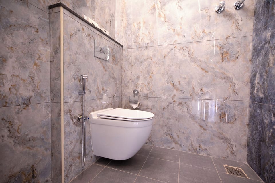 Premium Twin Room | Bathroom | Shower, towels, shampoo, toilet paper