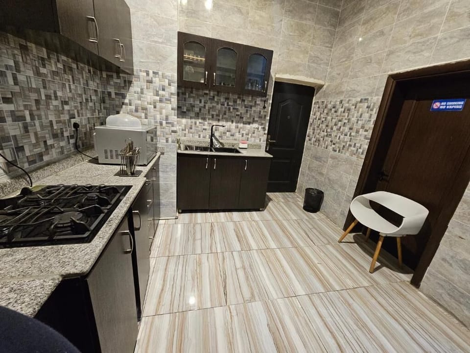 Deluxe Apartment, Balcony, City View | Private kitchen | Fridge, microwave, oven, stovetop