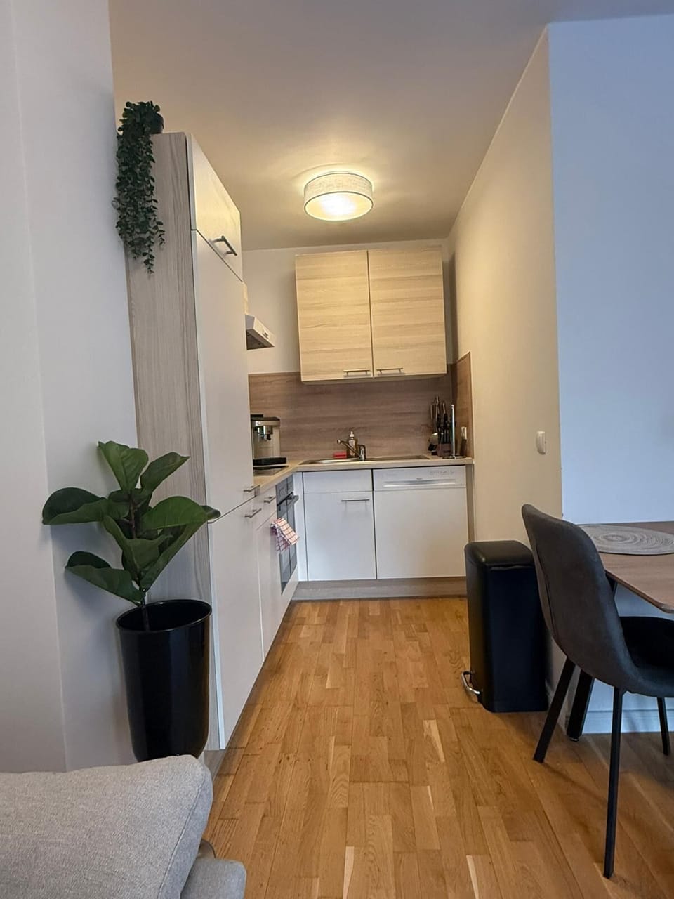 Basic Apartment | Private kitchen | Fridge