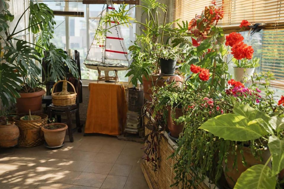 Apartment | 1 bedroom, Internet