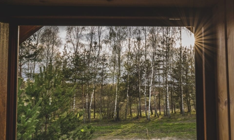 House | View from property